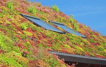 Potternewton living roof systems