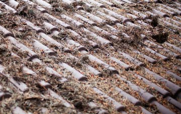 Potternewton roof cleaning companies